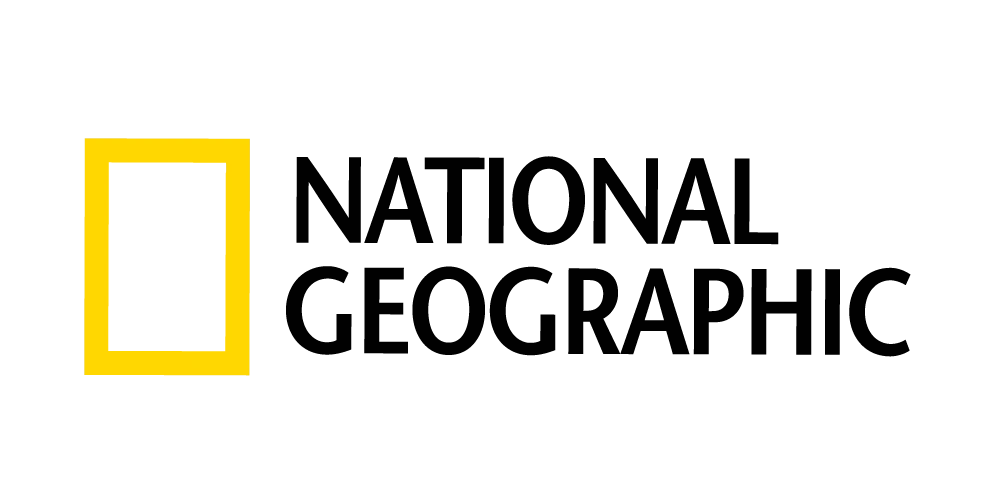 pngwing.com (13)